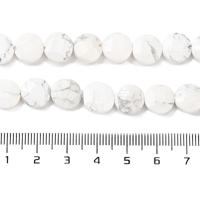 Natural Howlite Beads Strands G-K357-B06-01-1