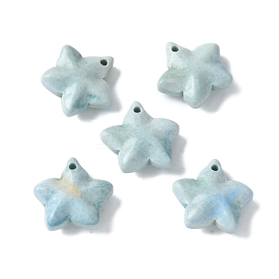 Natural Rainbow Alashan Agate Charms G-G194-02-1