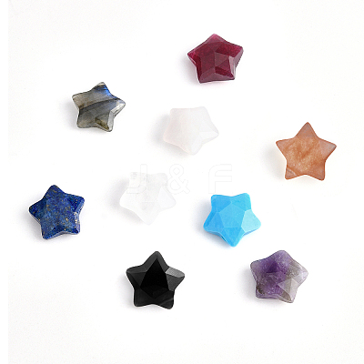 9pcs 9 style Natural Mixed Gemstone Charms G-BC0001-18-1