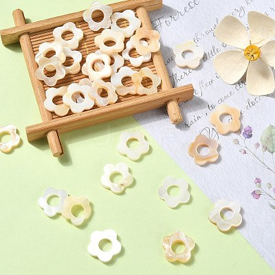 30Pcs Natural Freshwater Shell Beads Frames SHEL-CJ0001-27-1