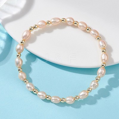 Natural Cultured Freshwater Pearl Beads Stretch Bracelets for Women BJEW-JB13540-02-1