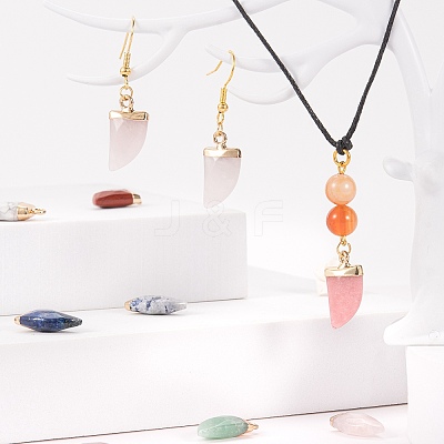10Pcs 10 Style Natural Gemstone Pendants G-LS0002-14-1