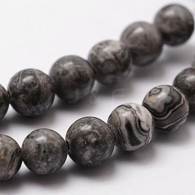 Natural Map Stone/Picasso Stone/Picasso Jasper Bead Strands G-D840-60-8mm-1
