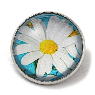Round Glass Brooches FIND-Q096-01L-1