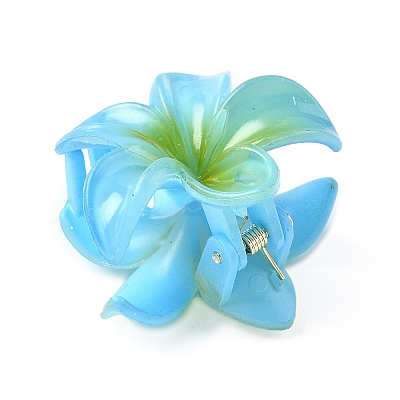 Plastic Claw Hair Clips PW-WG07B2B-05-1