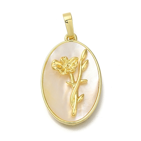 Brass Pave Shell Birth Flower Pendants FIND-I040-04H-1