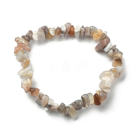 Natural Botswana Agate Chips Beaded Stretch Bracelets BJEW-JB09476-01-1