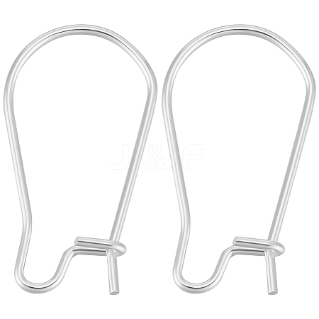 100Pcs 304 Stainless Steel Hoop Earring Findings STAS-BBC0005-94S-01-1