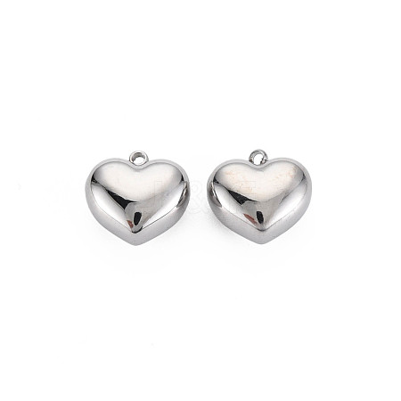 Non-Tarnish 304 Stainless Steel Charms STAS-N097-148P-1