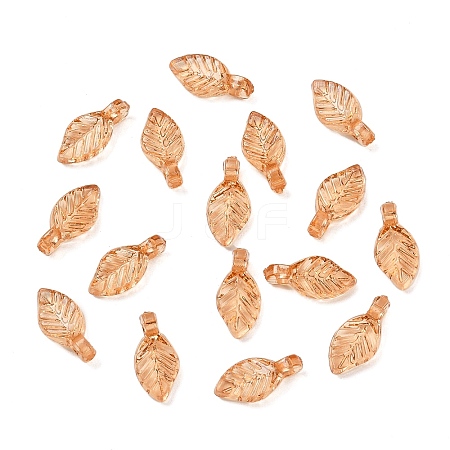 Transparent Acrylic Charms OACR-G054-02C-1