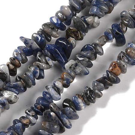 Natural Sodalite Beads Strands G-P530-A01-01-1