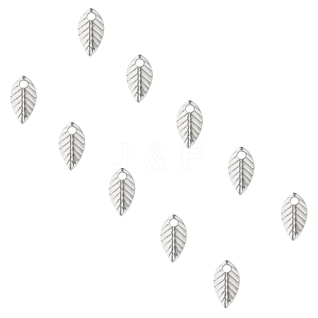 316 Surgical Stainless Steel Charms STAS-UN0007-07P-1