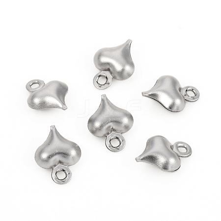 304 Stainless Steel Charms STAS-I149-05C-P-1