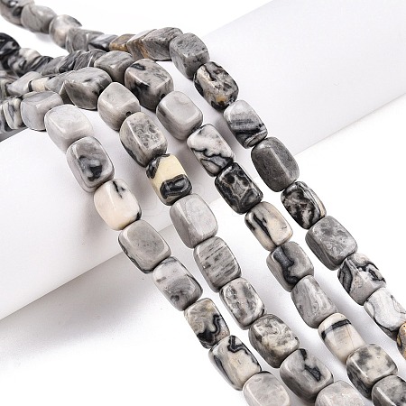 Natural Map Stone Beads Strands G-T138-98-1