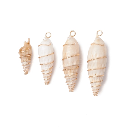 10Pcs Copper Wire Wrapped Natural Spiral Shell Big Pendants PALLOY-JF03397-02-S-1
