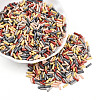 Baking Paint Glass Twist Bugle Beads SEED-N007-24B-1