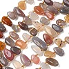 Natural Botswana Agate Beads Strands G-P604-A06-01-2
