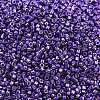 MIYUKI Delica Beads SEED-MY11-DB2510-2