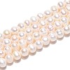 Natural Cultured Freshwater Pearl Beads Strands PEAR-N013-05N-4