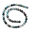 Natural Chrysocolla Beads Strands G-K405-B01-8mm-4
