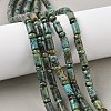 Natural African Turquoise(Jasper) Beads Strands G-L585-B03-01-1