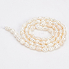  1 Strand Grade A Natural Cultured Freshwater Pearl Beads Strands PEAR-NB0001-33-4
