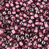 Transparent Inside Colours Glass Seed Beads SEED-T007-19A-02-2
