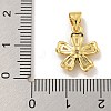 Rack Plating Brass Micro Pave Cubic Zirconia Charms KK-C074-64G-02-3