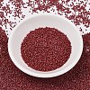 MIYUKI Delica Beads SEED-X0054-DB2354-1
