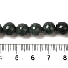 Natural Black Jade Beads Strands G-H067-A03-8MM-5