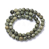 Natural Serpentine/Green Lace Stone Bead Strands X-G-R411-11-6mm-2