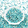 Glass Seed Beads SEED-N007-13D-2