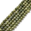 Natural Gemstone Beads GSR6mmC032-6