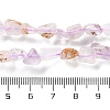 Natural Amethyst Beads Strands G-P497-01C-26-5