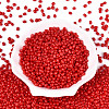 Baking Paint Glass Seed Beads SEED-N007-29C-2