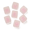 Frosted Acrylic European Beads OACR-G012-14C-1