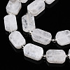 Natural Rainbow Moonstone Beads Strands G-C098-A21-01-2