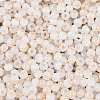 6/0 Glass Seed Beads SEED-N008-07L-3