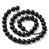 Natural Shungite Beads Strands G-D481-15B-3