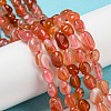 Natural Red Agate Beads Strands G-P497-01A-11-2