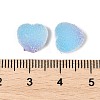 Imitation Candy Food Style Resin Cabochons RESI-R461-01A-3