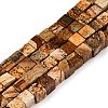 Natural Picture Jasper Beads Strands G-T139-6x6-27A-4