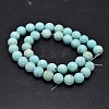 Natural Howlite Beads Strands TURQ-P027-17-10mm-2