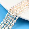 Natural Cultured Freshwater Pearl Beads Strands PEAR-N012-04F-1