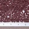 MIYUKI Round Rocailles Beads X-SEED-G007-RR0309-4