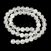Natural Selenite Beads Strands G-N328-025B-01-4