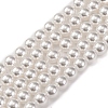 Baking Painted Pearlized Glass Pearl Round Bead Strands PEAR-H019-02B-04-1