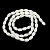 Natural Trochus Shell Beads Strands X-BSHE-E030-02C-3