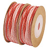 2 Rolls Segment Dyed Cotton Twisted String Cord OCOR-TA0002-95B-2