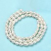 Natural Cultured Freshwater Pearl Beads Strands PEAR-E016-124-3